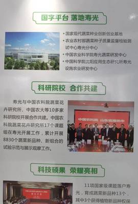 院士來了，國字號科研院所也來了——生態(tài)環(huán)境高水平保護(hù)推動經(jīng)濟(jì)高質(zhì)量發(fā)展看濰坊見聞