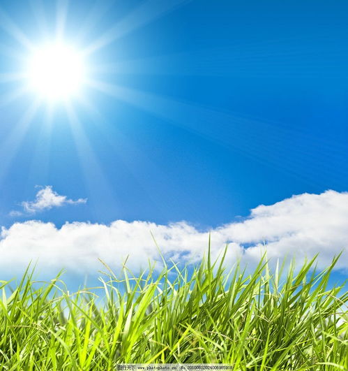 用心交流，換位思考 以完美溝通推動生態(tài)環(huán)境材料銷售，共筑美好生活