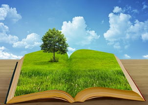 生態(tài)環(huán)境材料的發(fā)展趨勢與市場銷售前景